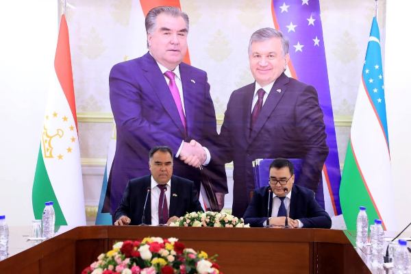 Предприниматели Узбекистана обсудили в Согде сотрудничество в сфере сельского хозяйства