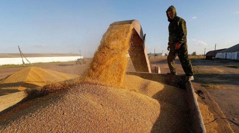 В Казахстане отменили квоты на экспорт муки и зерна
