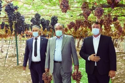 Сын знаменитого виноградаря Таджикистана перечислил более 2,3 млн. сомони на борьбу с коронавирусом 