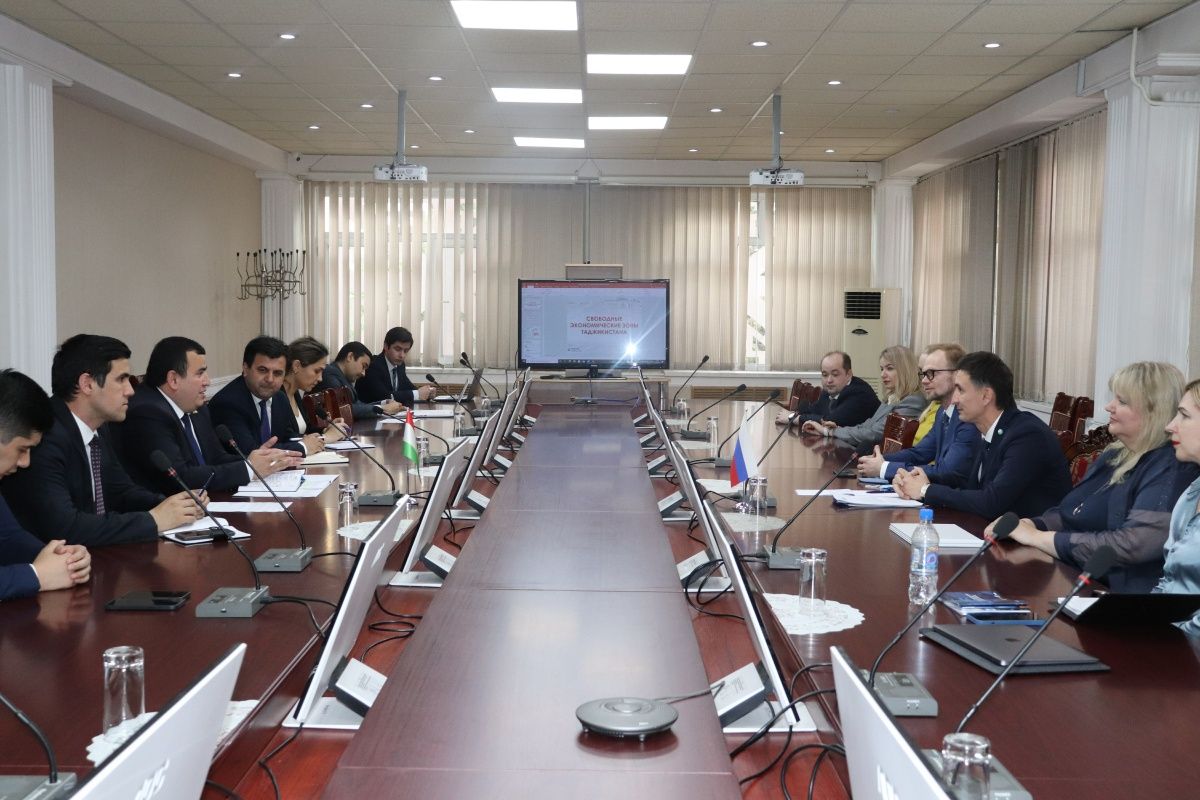 Таджикистан планирует создание совместных предприятий с Петербургом 