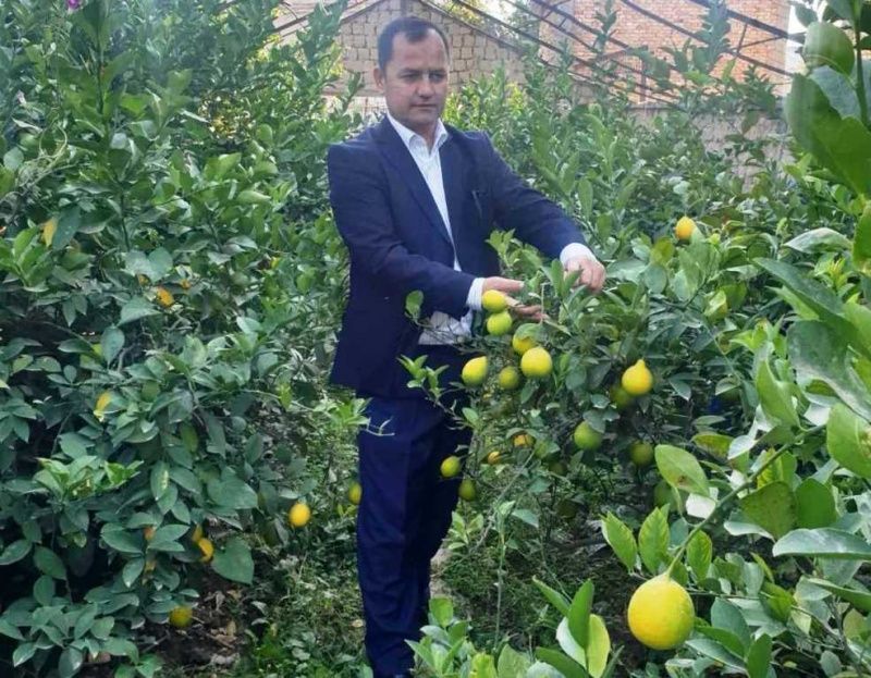 Как в Таджикистане вырастить лимон и заработать миллион