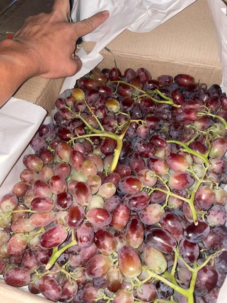 Таможня Кыргызстана изъяла у двух водителей контрабандный таджикский виноград