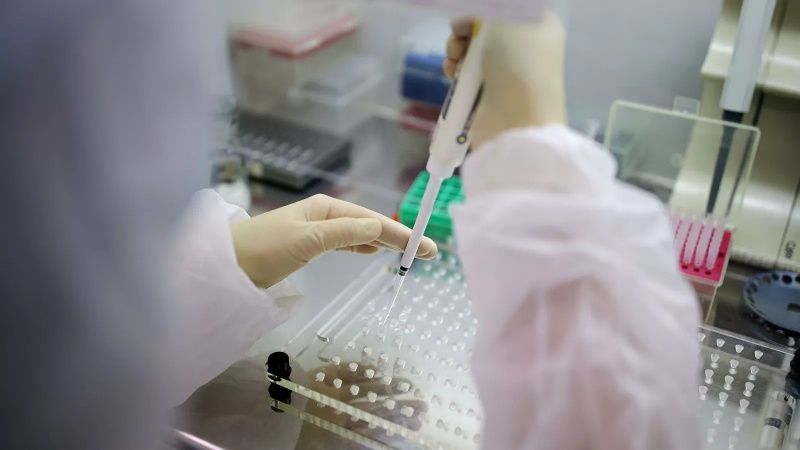ВОЗ обнаружила новый штамм коронавируса в нескольких странах