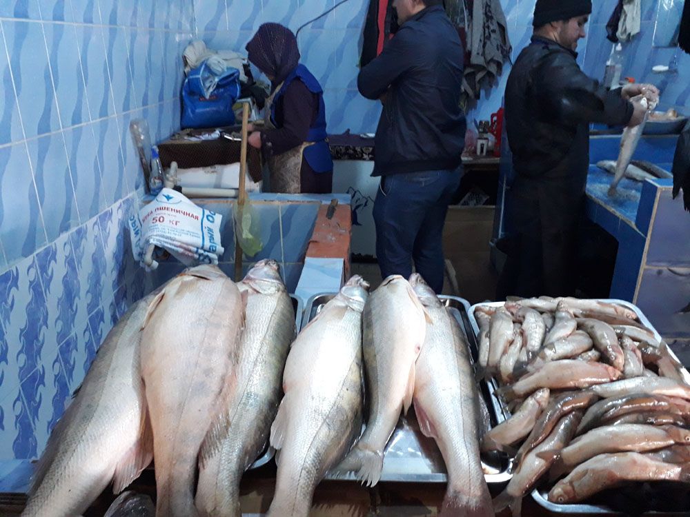 На рынках Душанбе стало больше местной свежей рыбы