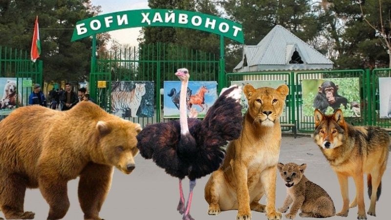 В Душанбе построят современный зоопарк