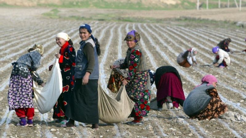 В Таджикистане за десять лет количество сельских жителей увеличилось на полтора миллиона человек