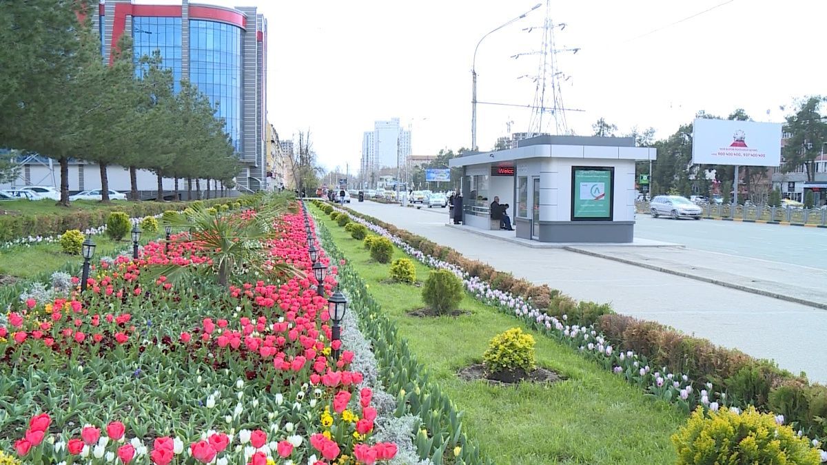 Столица будущего: как Душанбе превращается в экогород