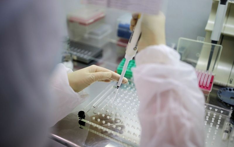 Россия отправит в Таджикистан новые тесты для определения коронавируса