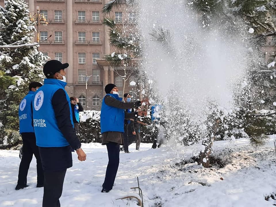 Волонтеры очистили деревья Душанбе от снега, чтобы защитить их от надломов Волонтеры очистили деревья Душанбе от снега, чтобы защитить их от надломов