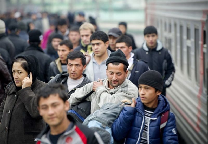 Исследование по миграции во время пандемии обсудили в Таджикистане