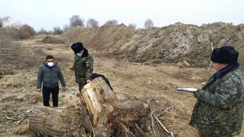 Мирзиёев распорядился высадить в Узбекистане 125 млн деревьев