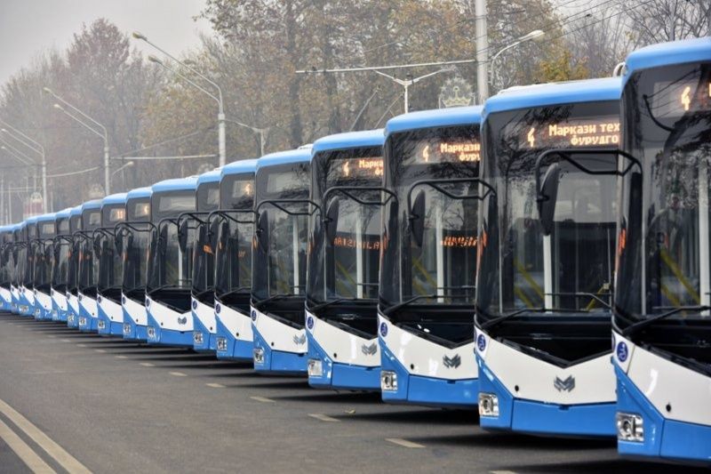 Транспортные предприятия Душанбе организуют бесплатное обучение на водителей автобусов