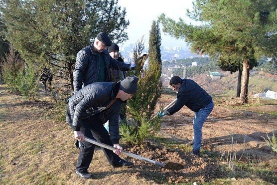 Сотрудники органов власти