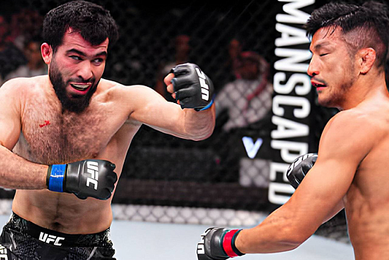 Опубликованы официальные данные о гонорарах таджикских бойцов прошедшего турнира UFC  
