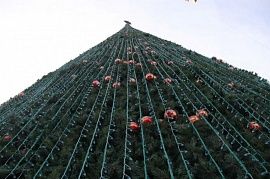 Новогодних мероприятий на главной площади Душанбе и в школах не будет