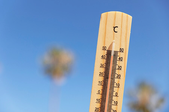 До 46 градусов. В Таджикистане до конца июля ожидается сильная жара