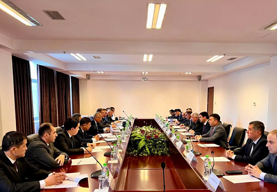 Представители Таджикистана и Узбекистана обсудили процесс демаркации общей границы