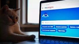 Мигранты смогут сами уведомлять о прибытии через «Госуслуги»