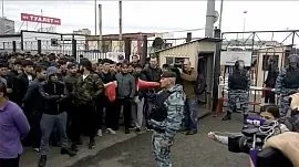 Около 400 мигрантов депортировали из России за драки