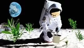 Турецкие ученые будут выращивать растения в космосе 