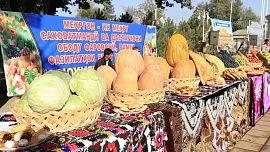 В Таджикистане выросло производство сельхозпродукции