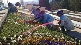Парки и скверы Душанбе украсят тысячи деревьев и миллионы цветов
