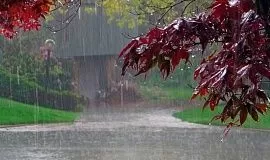 Ливневые дожди и град. Синоптики Таджикистана прогнозируют нестабильную погоду