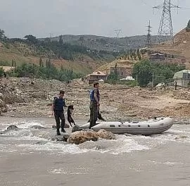 В Таджикистане спасатели вытащили собаку, застрявшую на островке посреди реки Варзоб