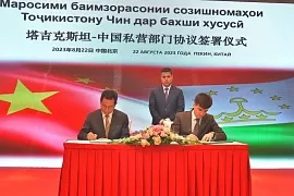Электромобили будут производить в Таджикистане  