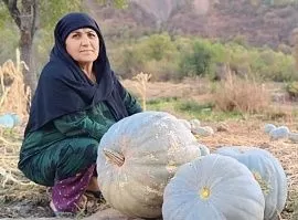 Кадуи сафед дар куҳистон: Холаи Одинамоҳ гуфт, чаро ба парвариши он рӯй овард