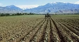 Министр сельского хозяйства Таджикистана раскритиковал район Рудаки за неразумное использование земли  