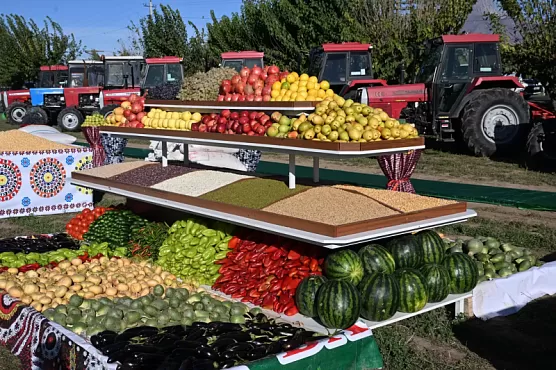 Таджикистан хочет наладить экспорт сельхозпродукции в Саудовскую Аравию