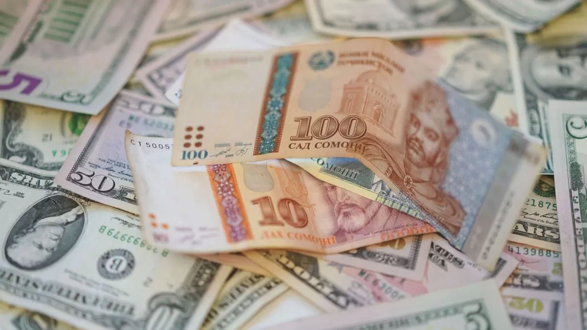 Власти Таджикистана помогают безработным гражданам стать предпринимателями Власти Таджикистана помогают безработным гражданам стать предпринимателями