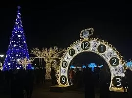 Новогодняя елка в Душанбе вошла в топ самых высоких в СНГ