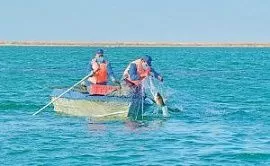 В Туркменистане введен временный запрет на рыбалку