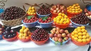 Таджикистан стал отправлять в Россию больше фруктов и сухофруктов