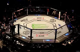 Спортивный эксперт прокомментировал предстоящие бои таджикских спортсменов на UFC 294