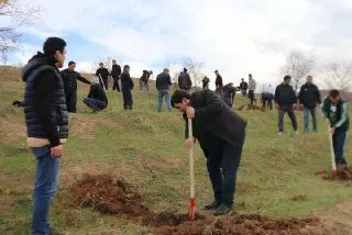 К весне в столице Таджикистан высадят более 58 тысяч деревьев