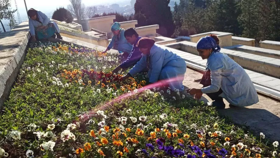 Парки и скверы Душанбе украсят тысячи деревьев и миллионы цветов