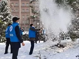 Волонтеры очистили деревья Душанбе от снега, чтобы защитить их от надломов
