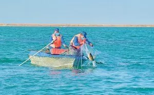 В Туркменистане введен временный запрет на рыбалку