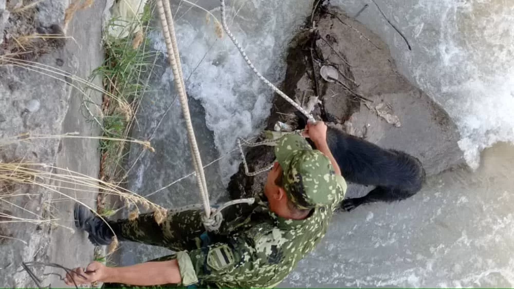 В Таджикистане спасатели вытащили собаку из водяного плена В Таджикистане спасатели вытащили собаку из водяного плена