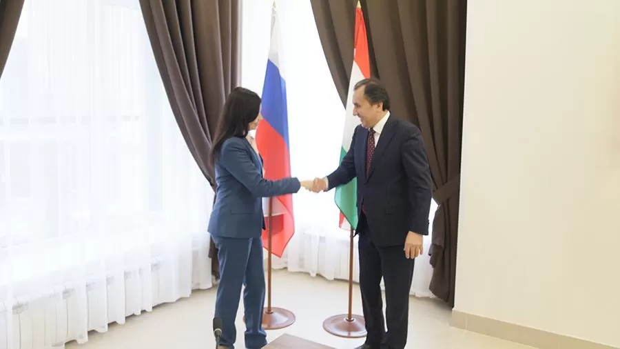 Посол Таджикистана в РФ обсудил с МВД проблемы мигрантов и снятие запретов на въезд