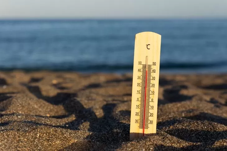 Ученые предупредили о рекордной жаре в 2024 году