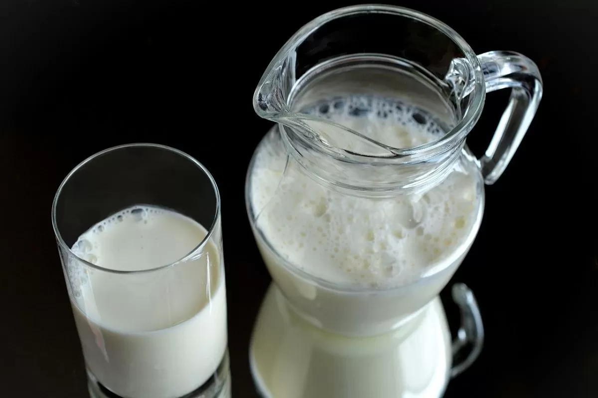 В Узбекистане произвели молоко с антителами против коронавируса