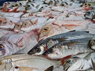 В Таджикистане активно развивается производство рыбы 