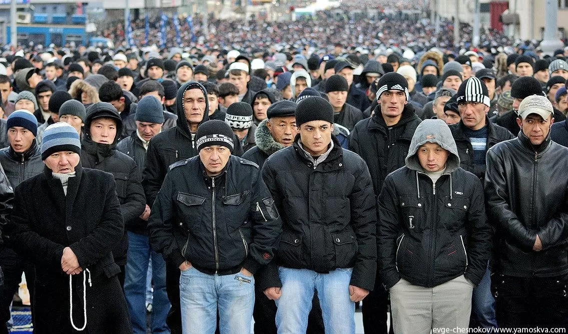 Представительство Минтруда Таджикистана в России обеспечило работой 4,5 тыс. мигрантов