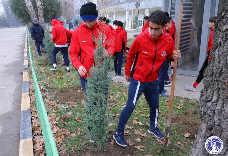 ФФТ поддержала инициативу Рустами Эмомали по озеленению Душанбе
