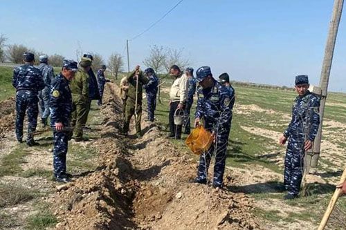 На автомагистрали «Душанбе — Чанак» высадили деревья 