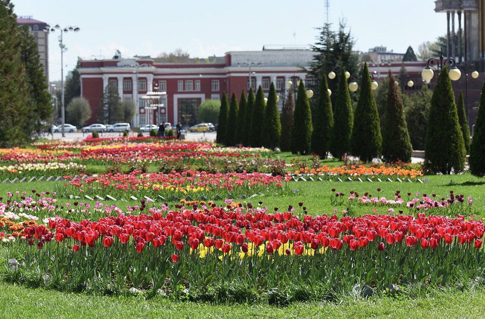 В Душанбе проведут конкурс цветов «Сайри гули лола»